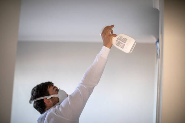 Best Professional Mold Removal  in Colmar Manor, MD