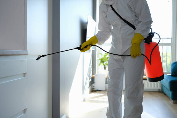 Best Residential Mold Removal  in Colmar Manor, MD