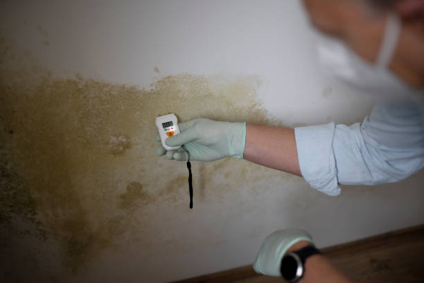 Best Mold Testing  in Colmar Manor, MD